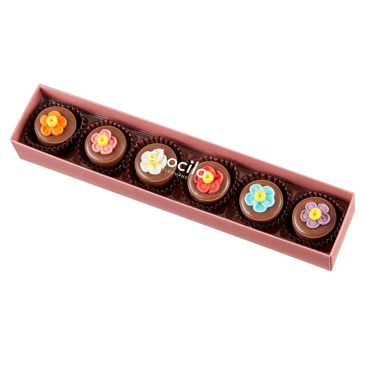 Chocilo 6 box Praline Milk Chocolates