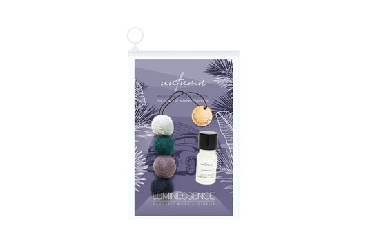 Diffuser Balls Car Freshner - Autumn Passionfruit and Papaya